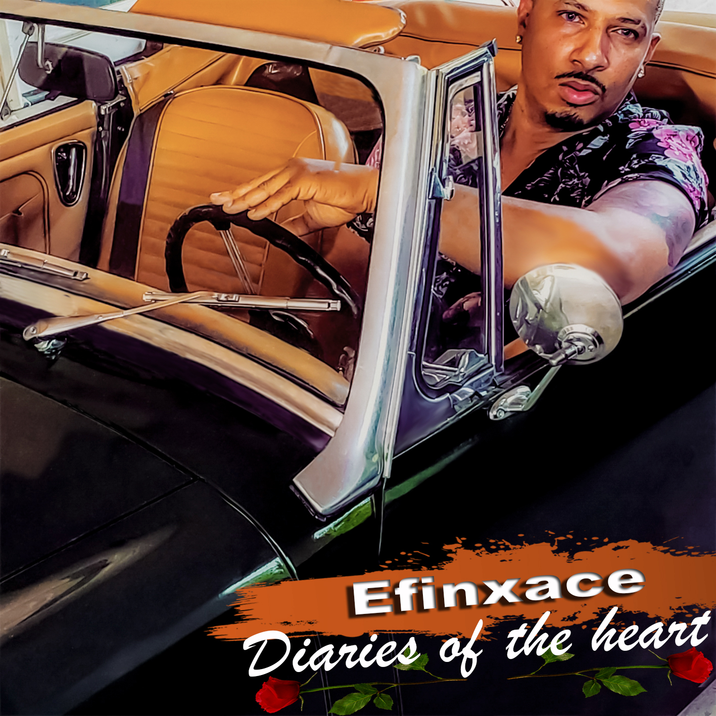 Diaries of the Heart